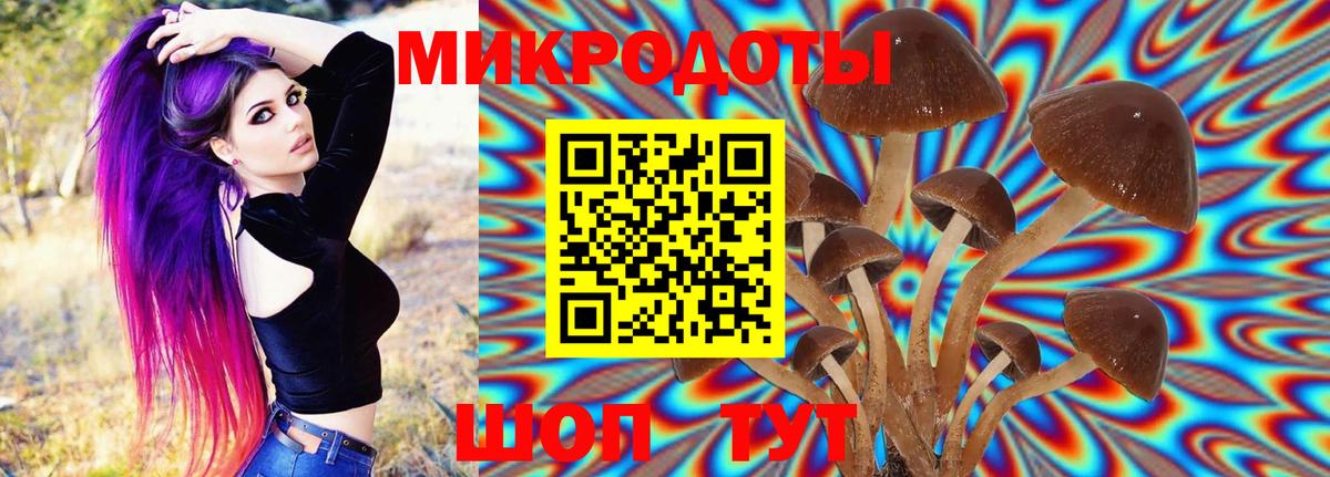 Псилоцибиновые грибы GOLDEN TEACHER  Вход с VPN  Урюпинск 